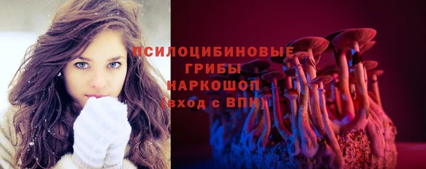apvp Белокуриха
