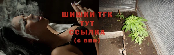 apvp Белокуриха