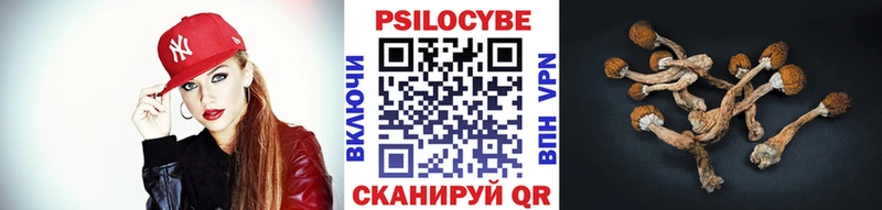 Псилоцибиновые грибы мицелий  Ярцево 